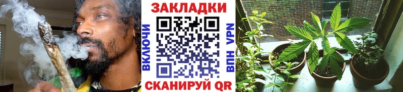Купить наркотики Котельники Alpha-PVP  COCAIN  Меф мяу мяу  MEGA как войти  МАРИХУАНА 