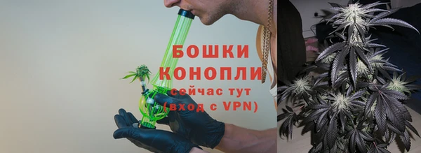 амф Краснослободск