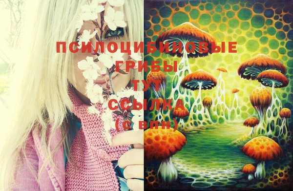 меф Кодинск