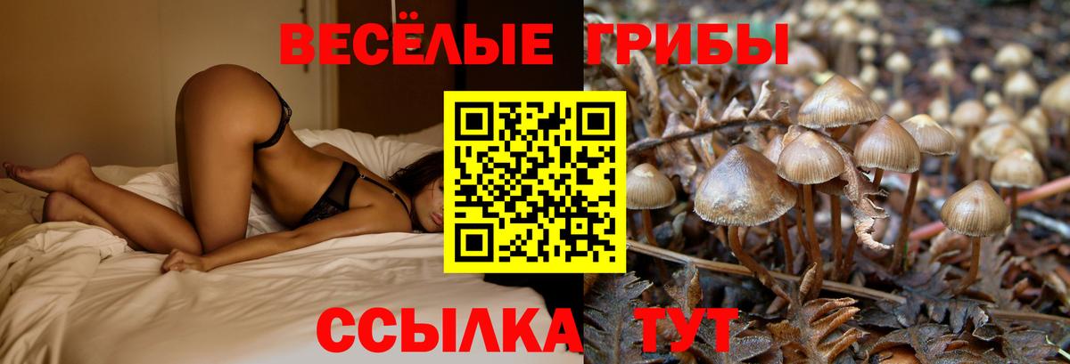 Псилоцибиновые грибы Magic Shrooms  Псилоцибиновые грибы MAGIC MUSHROOMS  Вход с VPN  Котельники 